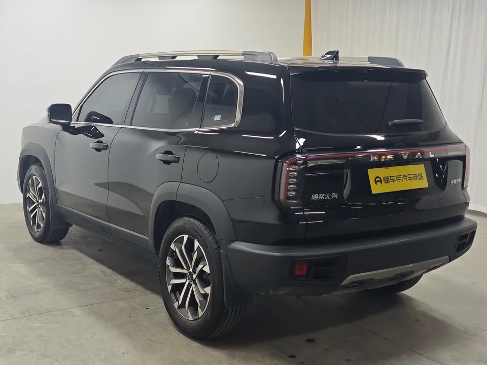 Haval Dargo Harvard dog 2024 1.5T 2WD Border Collie Edition 2025 — thumbnail 2