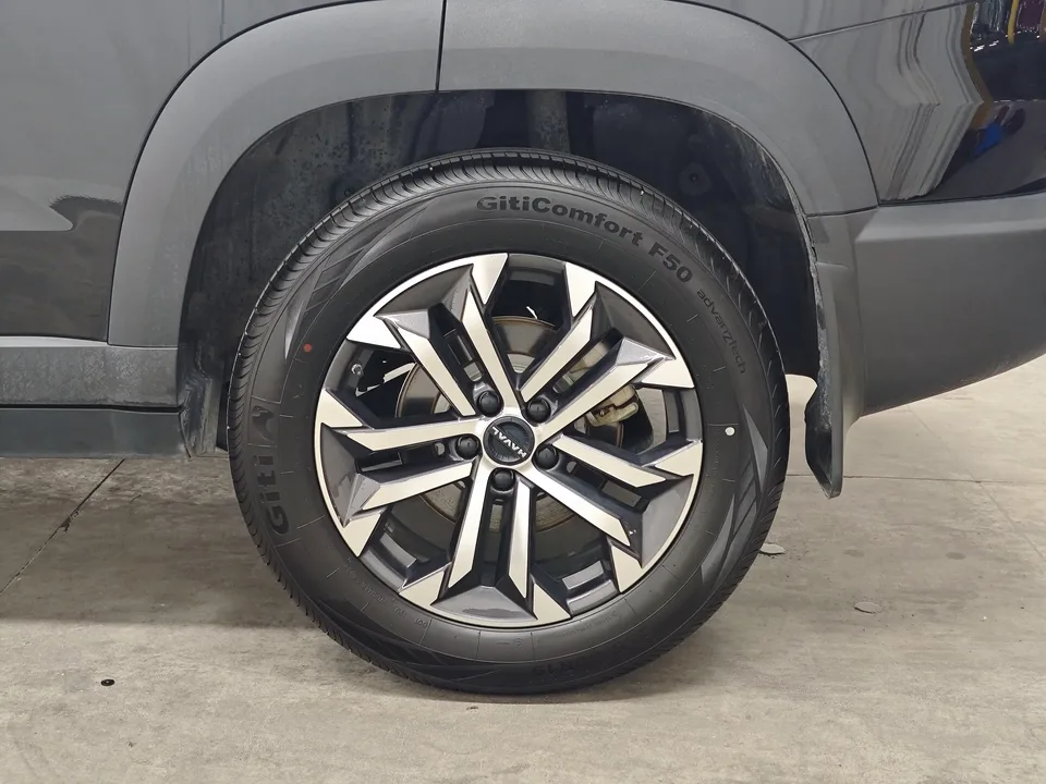 Haval Dargo Harvard dog 2024 1.5T 2WD Border Collie Edition 2025 — thumbnail 3