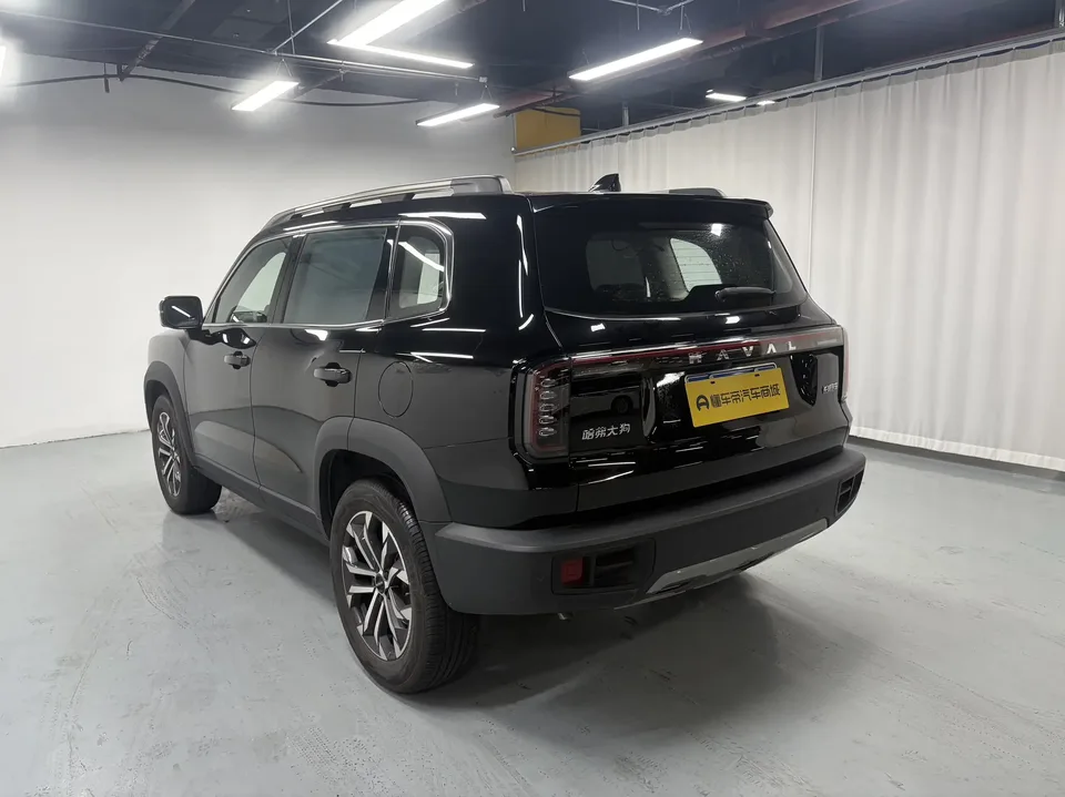Haval Dargo Harvard dog 2024 1.5T 2WD Border Collie Edition 2024 — thumbnail 2