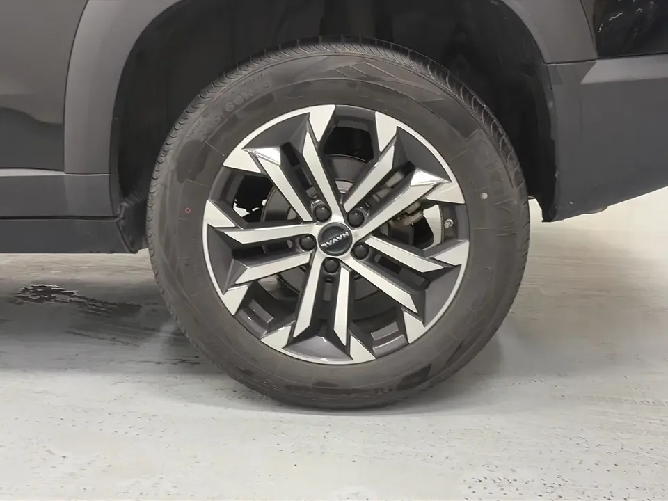 Haval Dargo Harvard dog 2024 1.5T 2WD Border Collie Edition 2024 — thumbnail 3