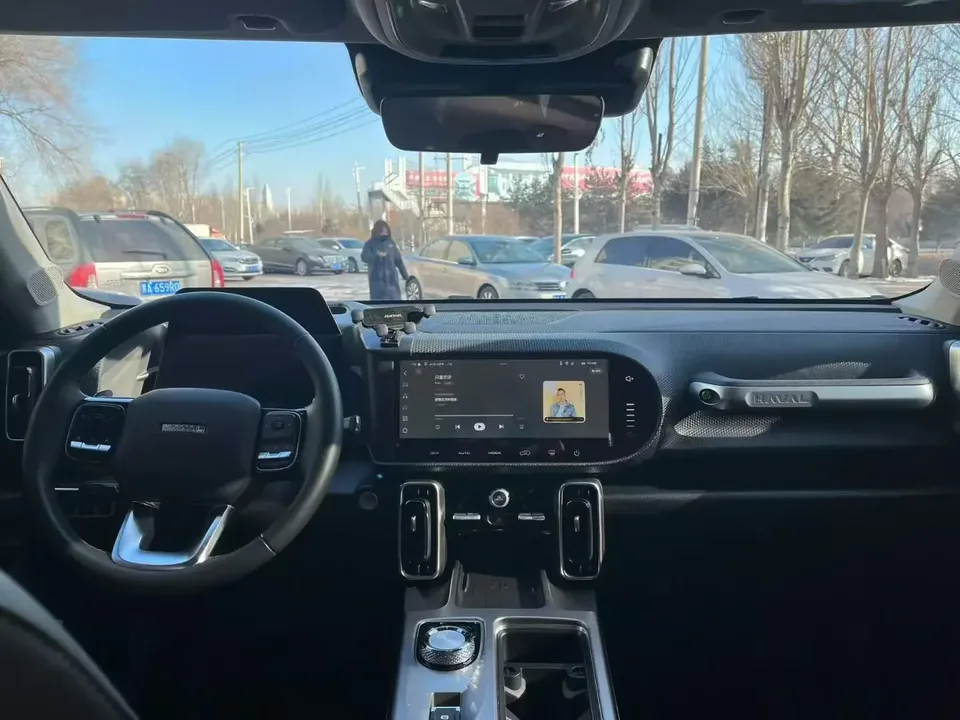 Haval Dargo Harvard dog 2022 1.5T 2WD Border Collie Edition 2024 — thumbnail 2