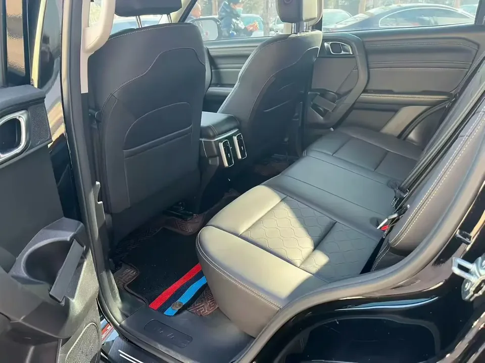 Haval Dargo Harvard dog 2022 1.5T 2WD Border Collie Edition 2024 — thumbnail 3
