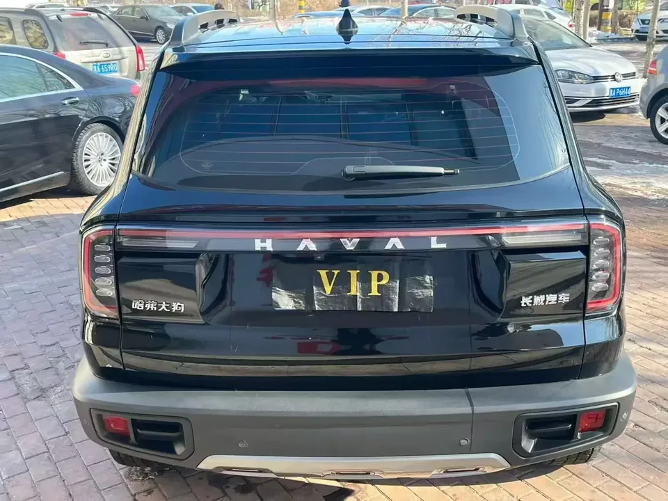 Haval Dargo Harvard dog 2022 1.5T 2WD Border Collie Edition 2024 — thumbnail 4
