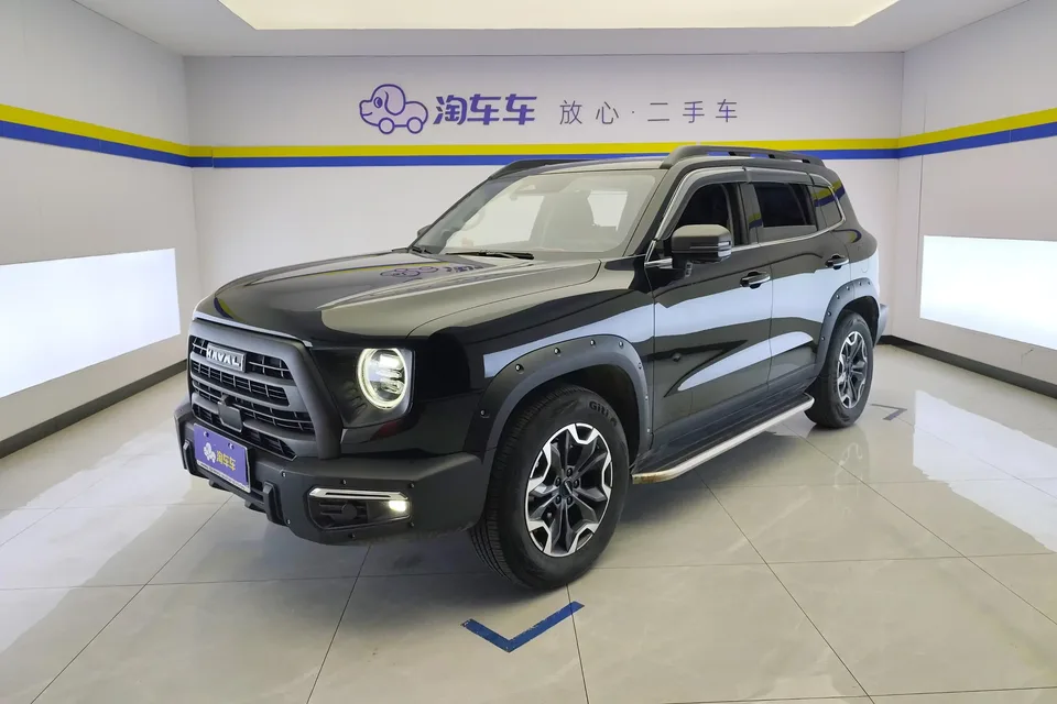 Haval Dargo Harvard dog 2024 2.0T 4WD Chinese Rural Dog Edition 2024 — photo 1, buy with delivery to Moscow