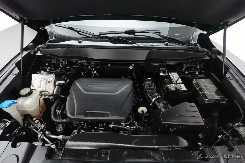 Haval Dargo Harvard dog 2022 1.5T 2WD Border Collie Edition 2023 — thumbnail 2