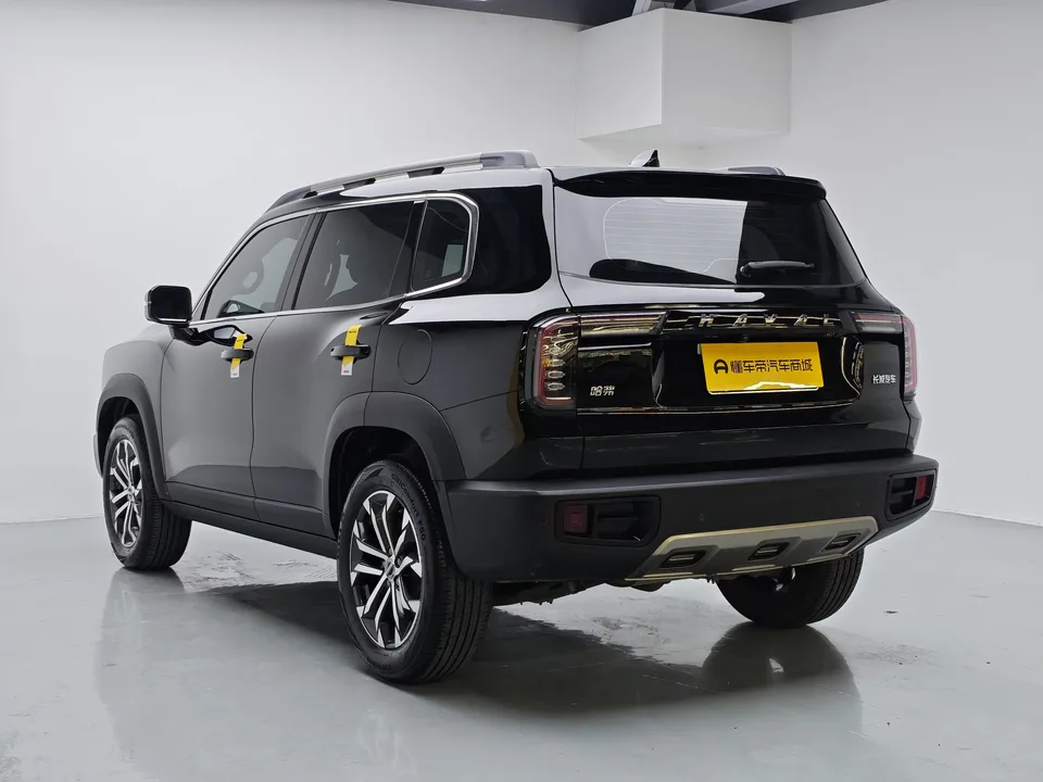 Haval Dargo Harvard dog 2022 1.5T 2WD Border Collie Edition 2023 — thumbnail 2