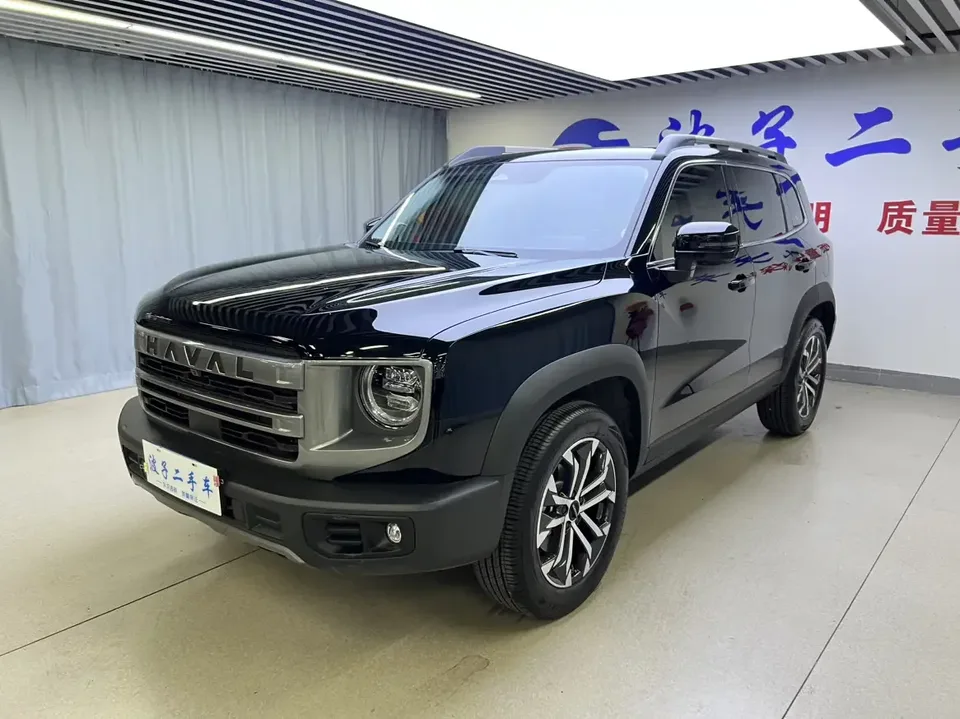 Haval Dargo Harvard dog 2024 1.5T 2WD Border Collie Edition 2024 — фото 1, купить с доставкой в Москву