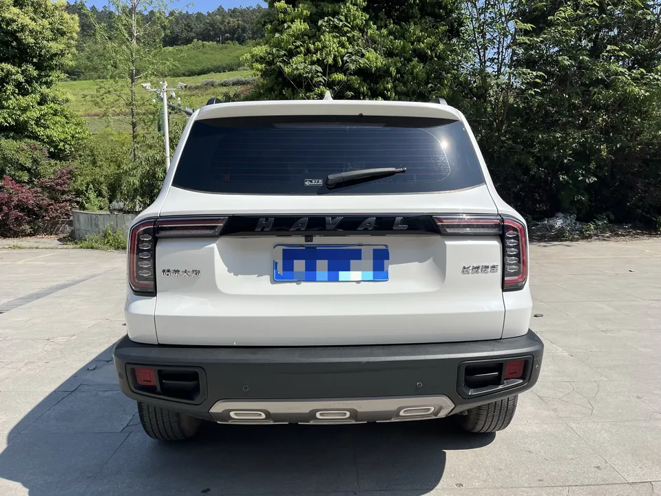Haval Dargo Harvard dog 2022 1.5T 2WD Labrador Edition 2022 — thumbnail 5