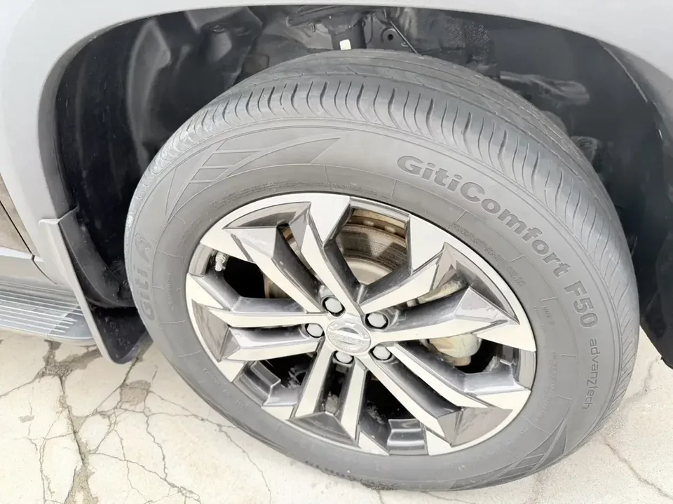 Haval Dargo Harvard dog 2022 1.5T 2WD Border Collie Edition 2022 — thumbnail 2