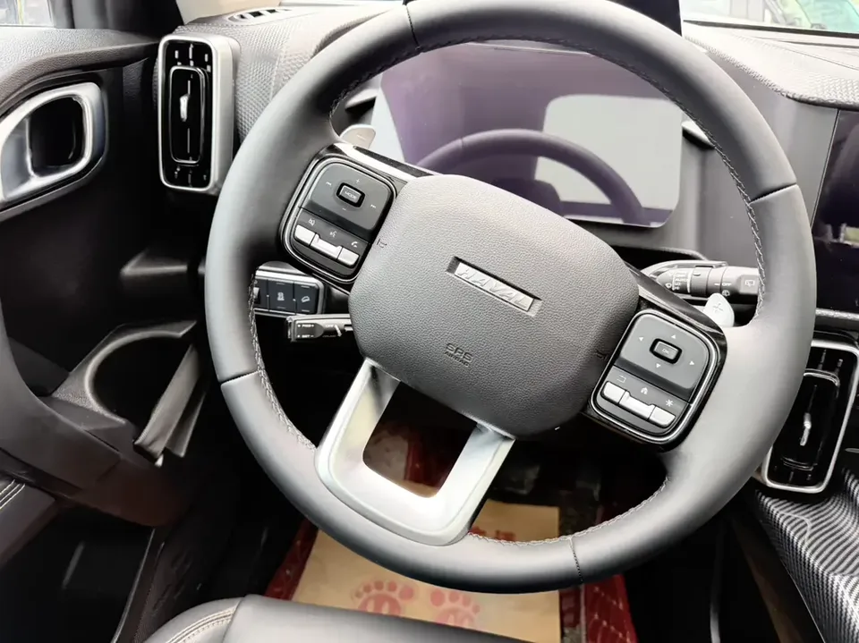Haval Dargo Harvard dog 2022 1.5T 2WD Border Collie Edition 2022 — thumbnail 3