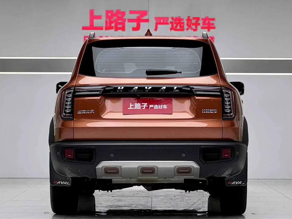 Haval Dargo Harvard dog 2022 1.5T 2WD Border Collie Edition 2023 — thumbnail 2