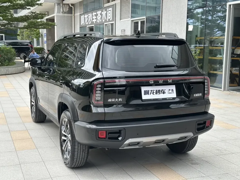 Haval Dargo Harvard dog 2026 1.5T 2WD Border Collie Edition 2026 — thumbnail 2