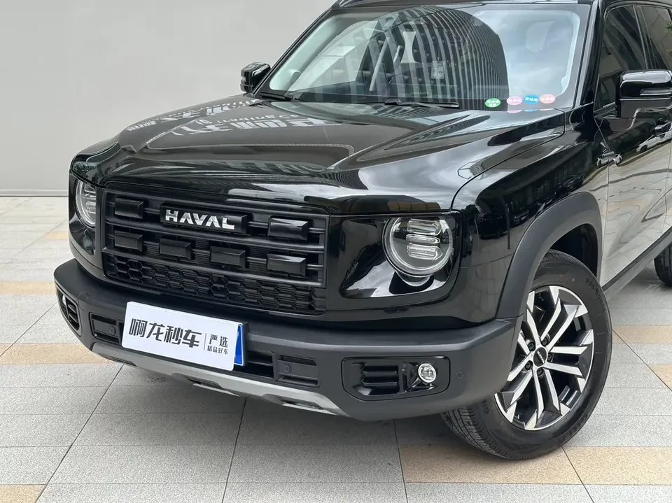 Haval Dargo Harvard dog 2026 1.5T 2WD Border Collie Edition 2026 — thumbnail 3