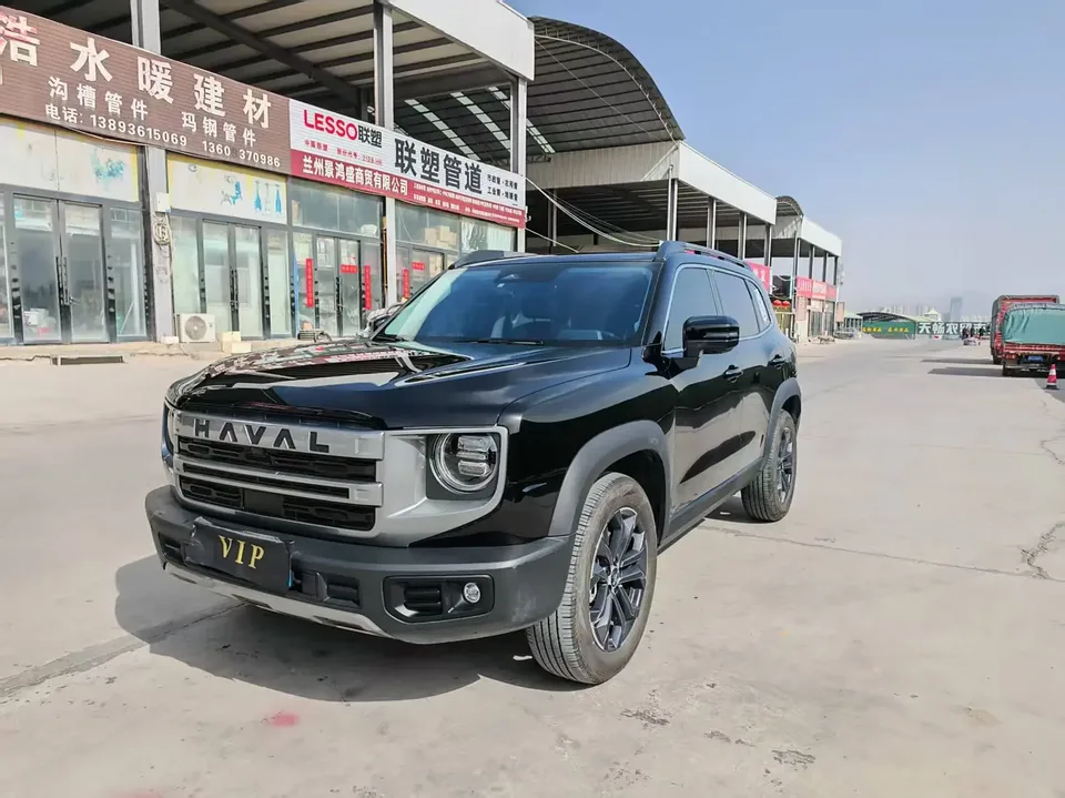 Haval Dargo Harvard dog 2024 1.5T 2WD Border Collie Edition 2024 — фото 1, купить с доставкой в Москву