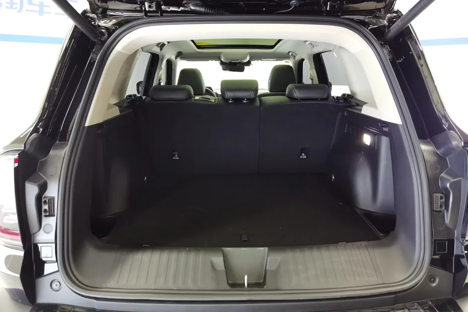 Haval Dargo Harvard dog 2024 1.5T 2WD Border Collie Edition 2025 — thumbnail 5