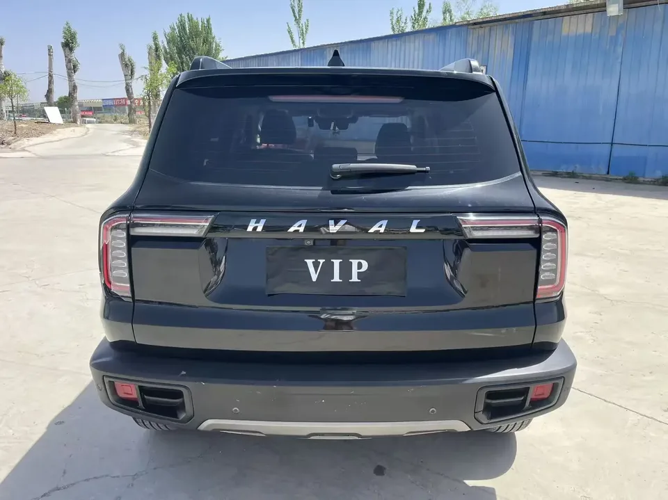 Haval Dargo Harvard dog 2021 1.5T 2WD Border Collie Edition 2022 — thumbnail 2