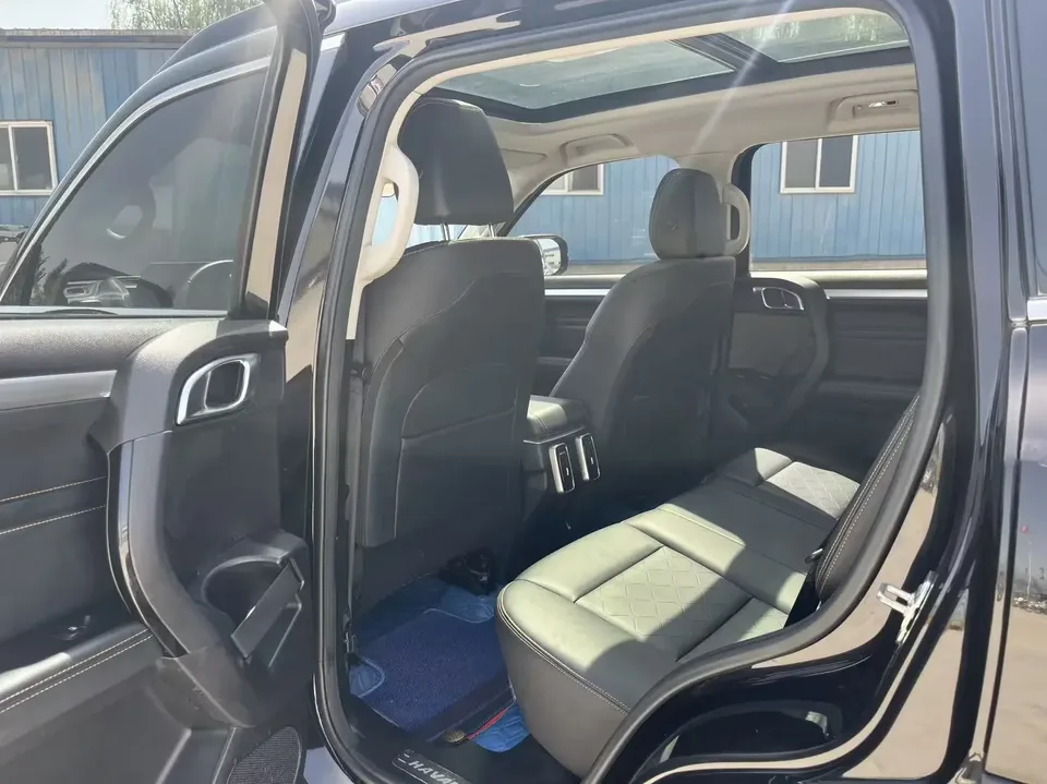 Haval Dargo Harvard dog 2021 1.5T 2WD Border Collie Edition 2022 — thumbnail 3