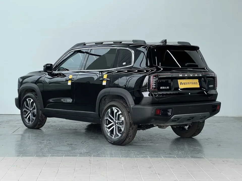 Haval Dargo Harvard dog 2024 1.5T 2WD Border Collie Edition 2024 — thumbnail 2