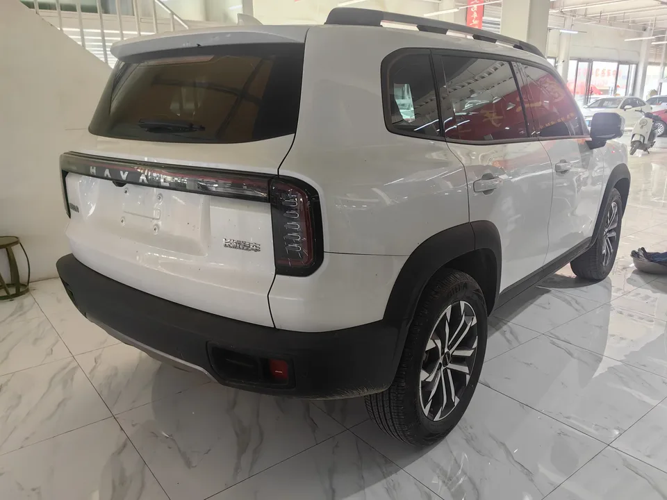 Haval Dargo Harvard dog 2024 1.5T 2WD Border Collie Edition 2024 — thumbnail 5