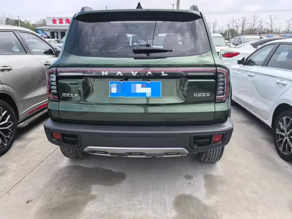 Haval Dargo Harvard dog 2024 1.5T 2WD Border Collie Edition 2024 — thumbnail 2