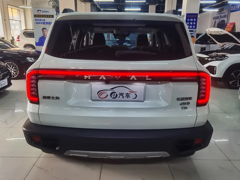 Haval Dargo Harvard dog 2024 2.0T 4WD Chinese Rural Dog Edition 2023 — thumbnail 2