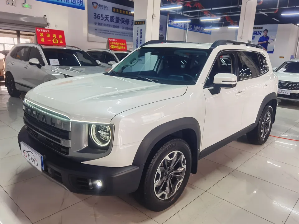 Haval Dargo Harvard dog 2024 2.0T 4WD Chinese Rural Dog Edition 2023 — photo 1, buy with delivery to Moscow