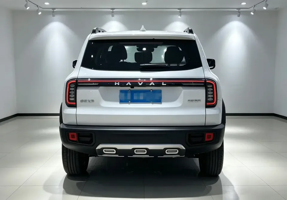 Haval Dargo Harvard dog 2024 1.5T 2WD Border Collie Edition 2024 — thumbnail 2