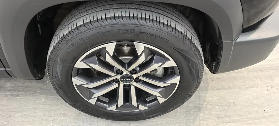 Haval Dargo Harvard dog 2024 1.5T 2WD Border Collie Edition 2024 — миниатюра 3
