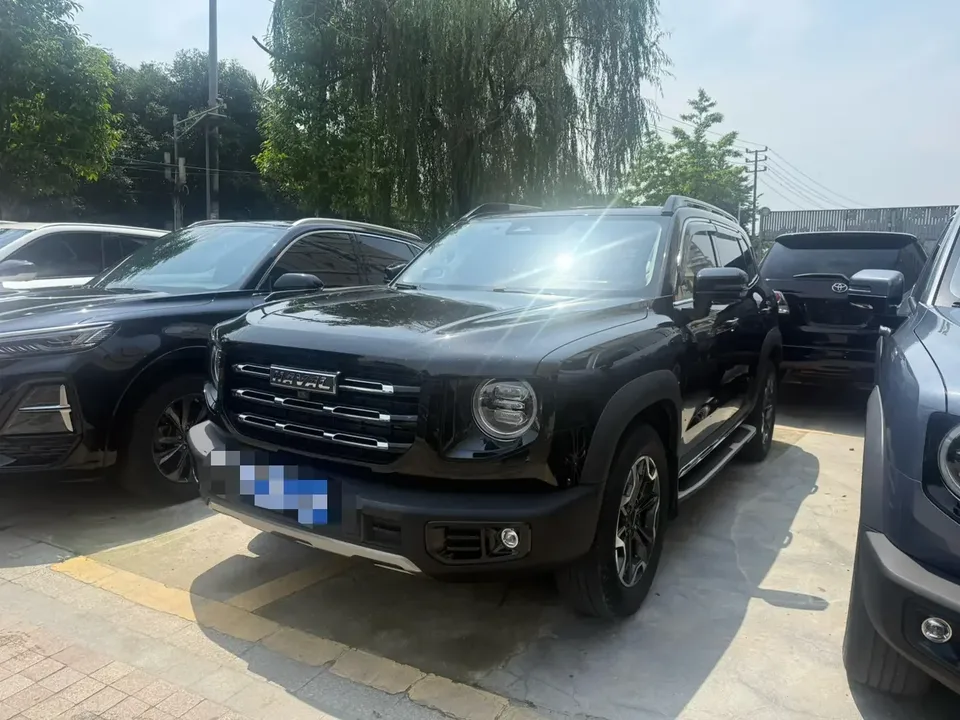 Haval Dargo Harvard dog 2022 1.5T 2WD Border Collie Edition 2023 — фото 1, купить с доставкой в Москву