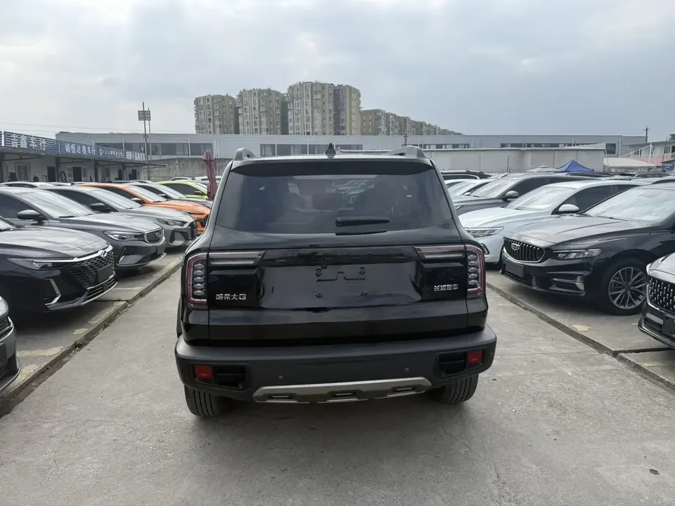 Haval Dargo Harvard dog 2022 1.5T 2WD Border Collie Edition 2022 — thumbnail 2