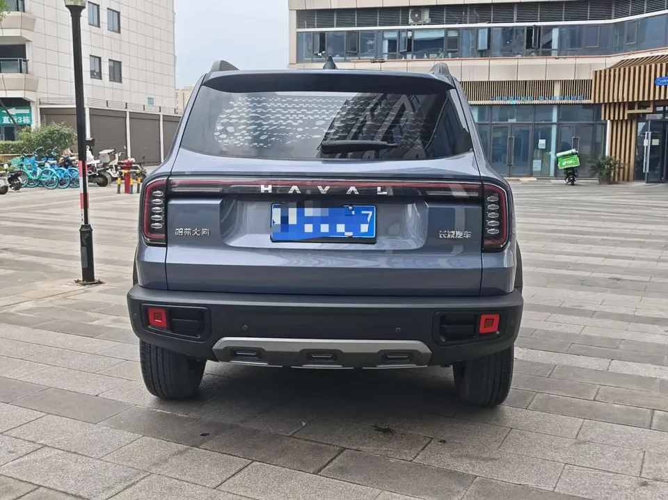 Haval Dargo Harvard dog 2024 1.5T 2WD Labrador Edition 2024 — thumbnail 2