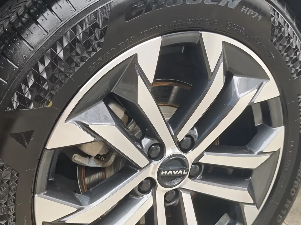 Haval Dargo Harvard dog 2024 1.5T 2WD Labrador Edition 2024 — thumbnail 4