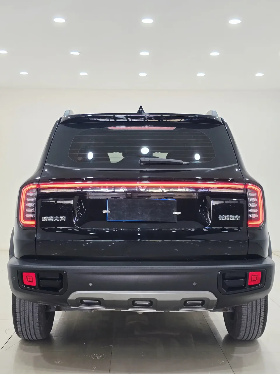 Haval Dargo Harvard dog 2024 1.5T 2WD Border Collie Edition 2024 — thumbnail 2