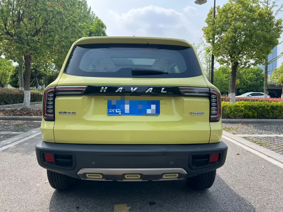Haval Dargo Harvard dog 2022 1.5T 2WD Labrador Edition 2022 — thumbnail 2