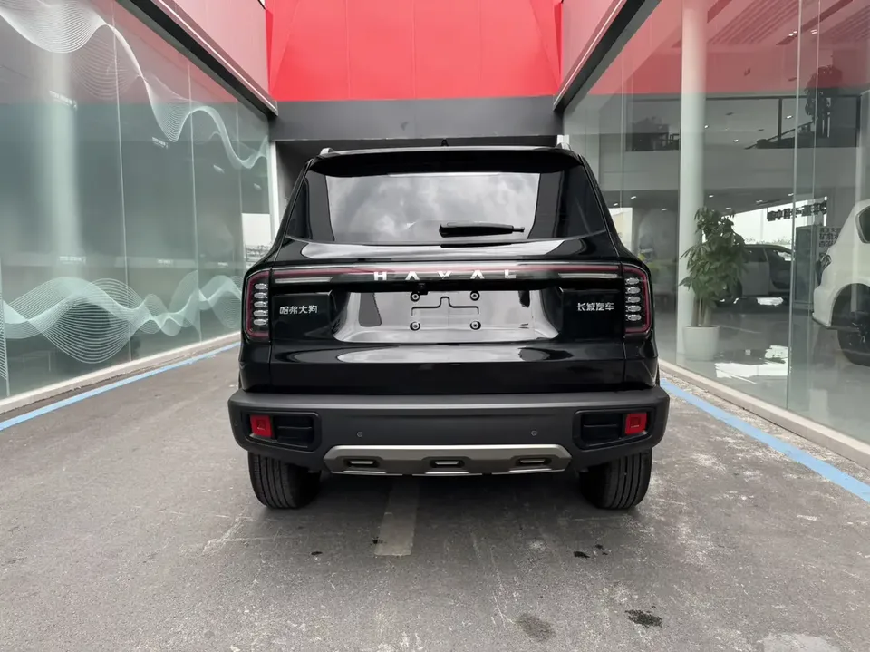 Haval Dargo Harvard dog 2024 1.5T 2WD Border Collie Edition 2024 — thumbnail 2