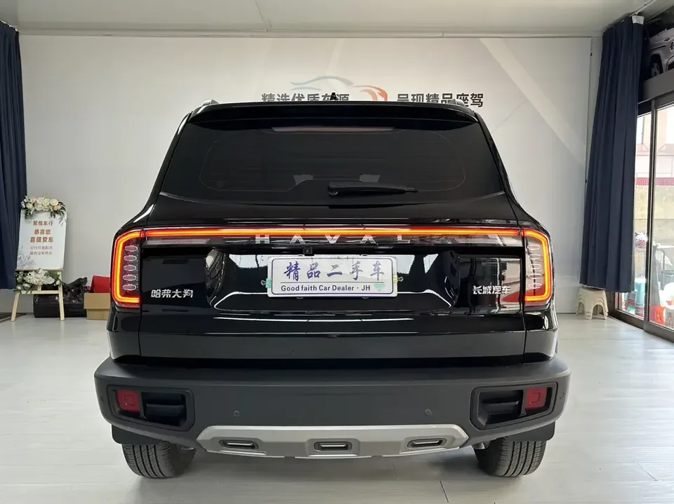 Haval Dargo Harvard dog 2024 1.5T 2WD Border Collie Edition 2024 — thumbnail 2