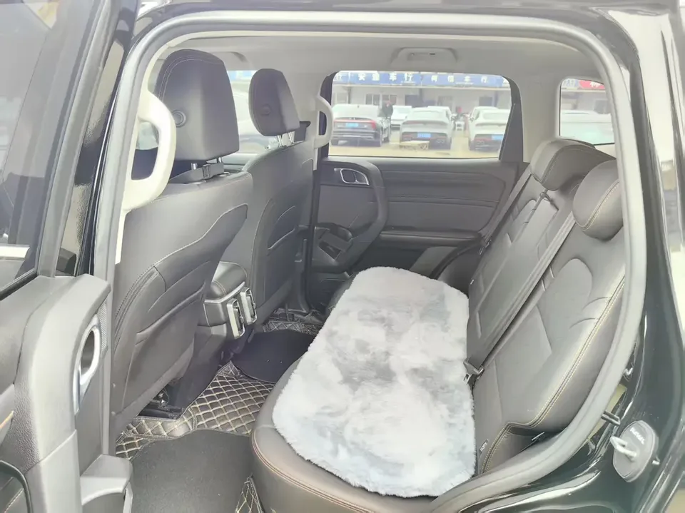 Haval Dargo Harvard dog 2024 1.5T 2WD Border Collie Edition 2023 — миниатюра 4