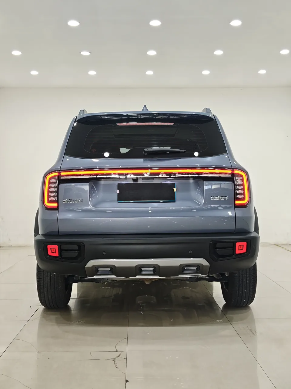 Haval Dargo Harvard dog 2024 1.5T 2WD Border Collie Edition 2024 — thumbnail 2
