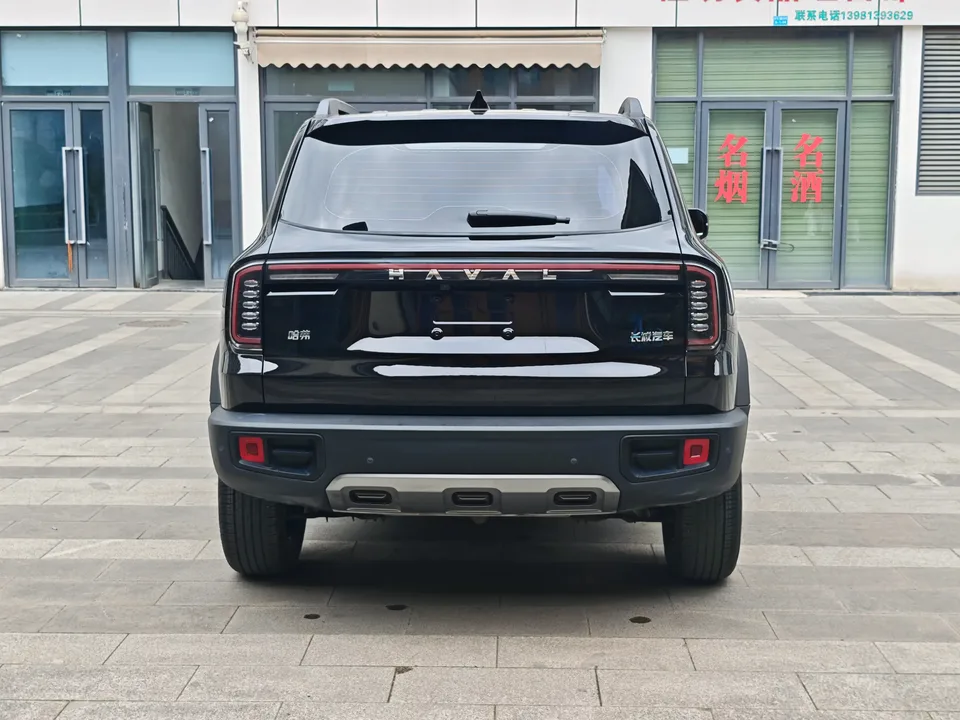 Haval Dargo Harvard dog 2024 1.5T 2WD Border Collie Edition 2024 — thumbnail 2