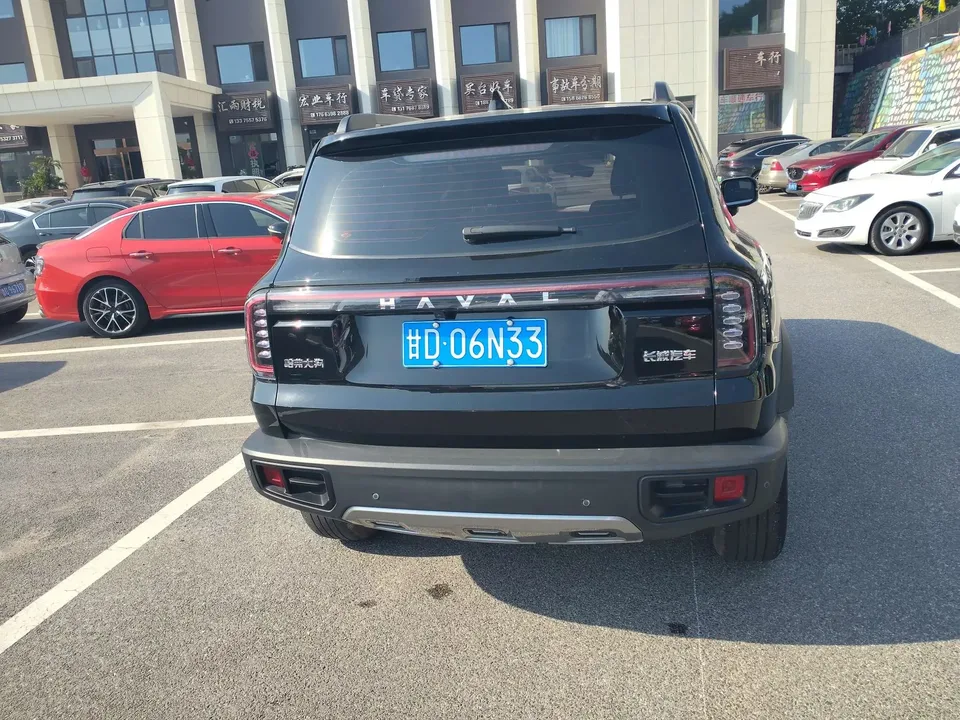 Haval Dargo Harvard dog 2024 1.5T 2WD Border Collie Edition 2024 — thumbnail 2