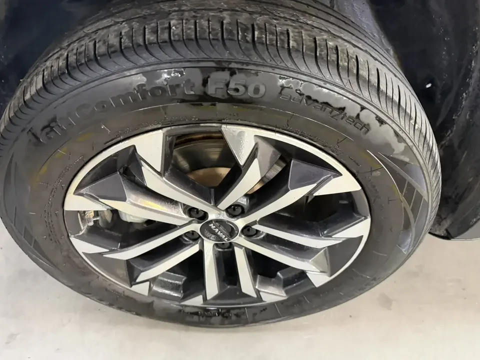 Haval Dargo Harvard dog 2024 1.5T 2WD Border Collie Edition 2025 — thumbnail 3