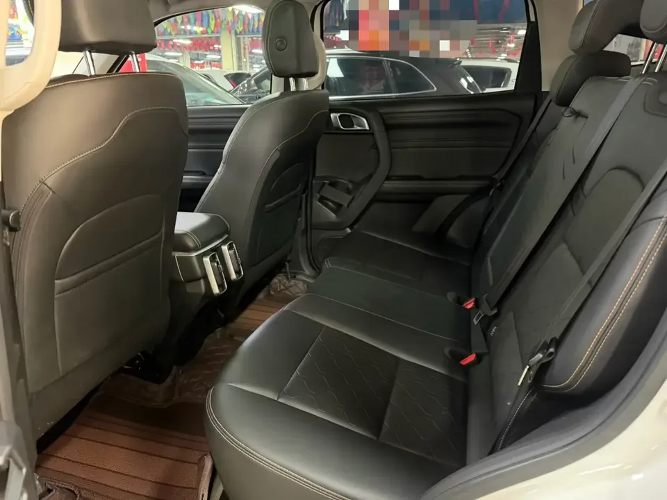Haval Dargo Harvard dog 2024 1.5T 2WD Border Collie Edition 2025 — thumbnail 5