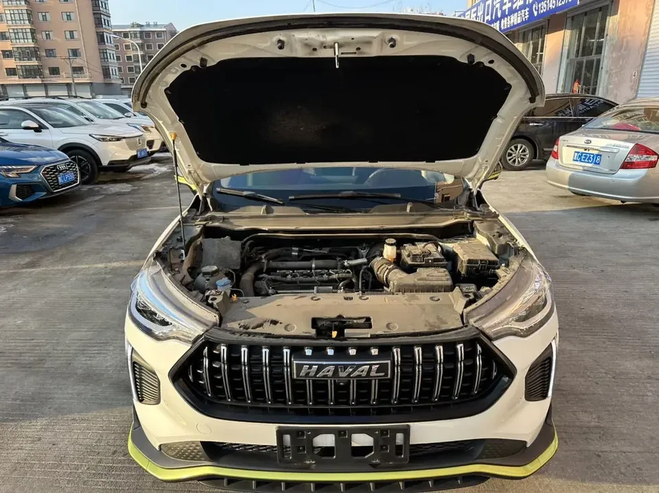 Haval Harvard Red Rabbit Harvard Red Rabbit 2022 Jinxiang Edition 1.5T Copper Rabbit 2022 — thumbnail 3
