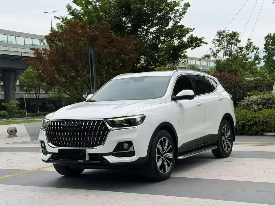 Haval H6 Haval H6 2023 National Trend Edition 1.5T Automatic Champion Edition 2024 — photo 1, buy with delivery to Moscow
