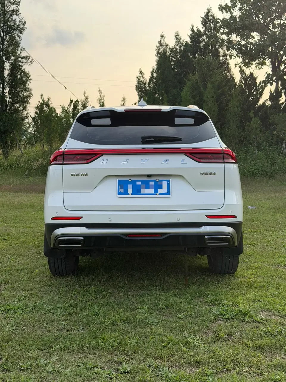 Haval H6 Haval H6 2023 National Trend Edition 1.5T Automatic Champion Edition 2024 — миниатюра 2