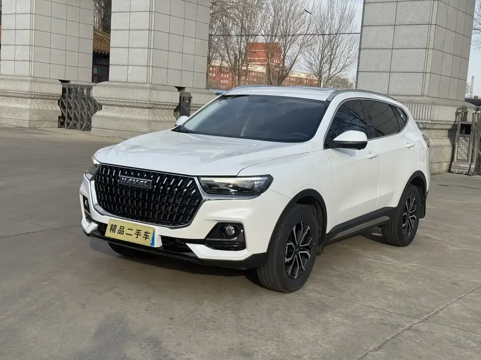 Haval H6 Haval H6 2023 National Trend Edition 1.5T Automatic City Edition 2023 — photo 1, buy with delivery to Moscow