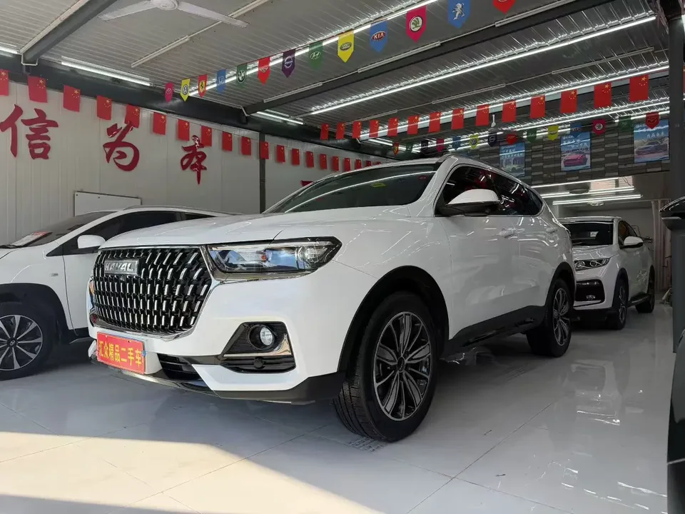 Haval H6 Haval H6 2023 National Trend Edition 1.5T Automatic Champion Edition 2024 — photo 1, buy with delivery to Moscow
