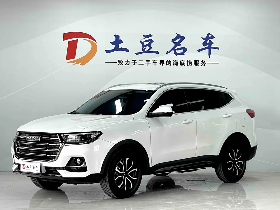 Haval H6 Haval H6 2021 National Trend Edition 1.5T Automatic City Edition 2022 — photo 1, buy with delivery to Moscow