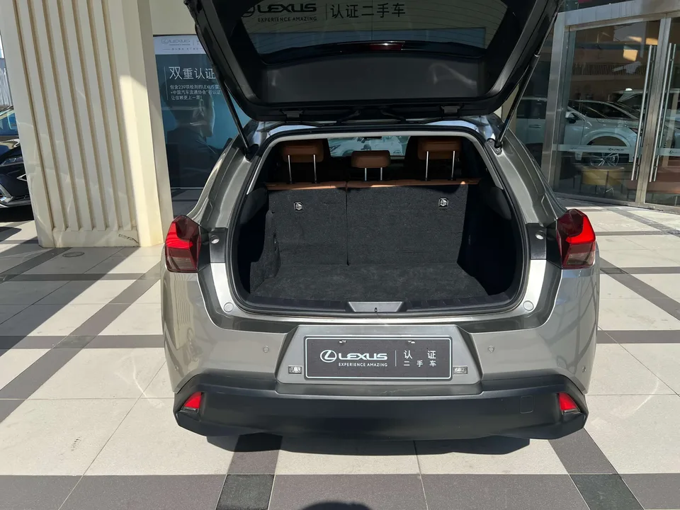 Lexus UX EV Lexus UX EV 2020 300e 2022 — миниатюра 2