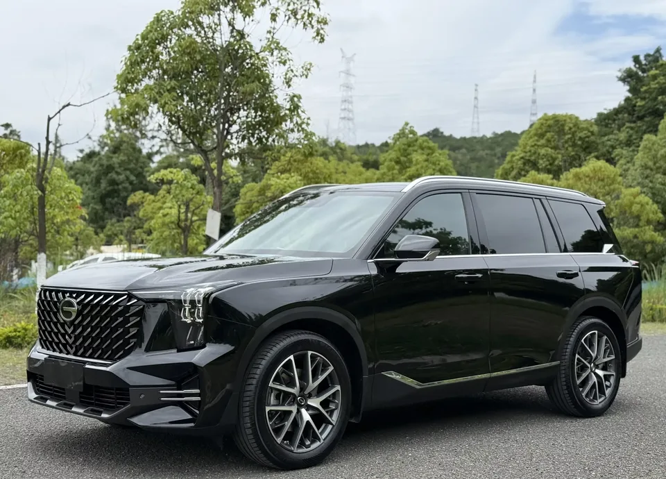 GAC Trumpchi GS8 Trumpchi GS8 2025 Pilot Series 2.0TGDI 2WD 5-seater Deluxe Edition 2024 — photo 1, buy with delivery to Moscow